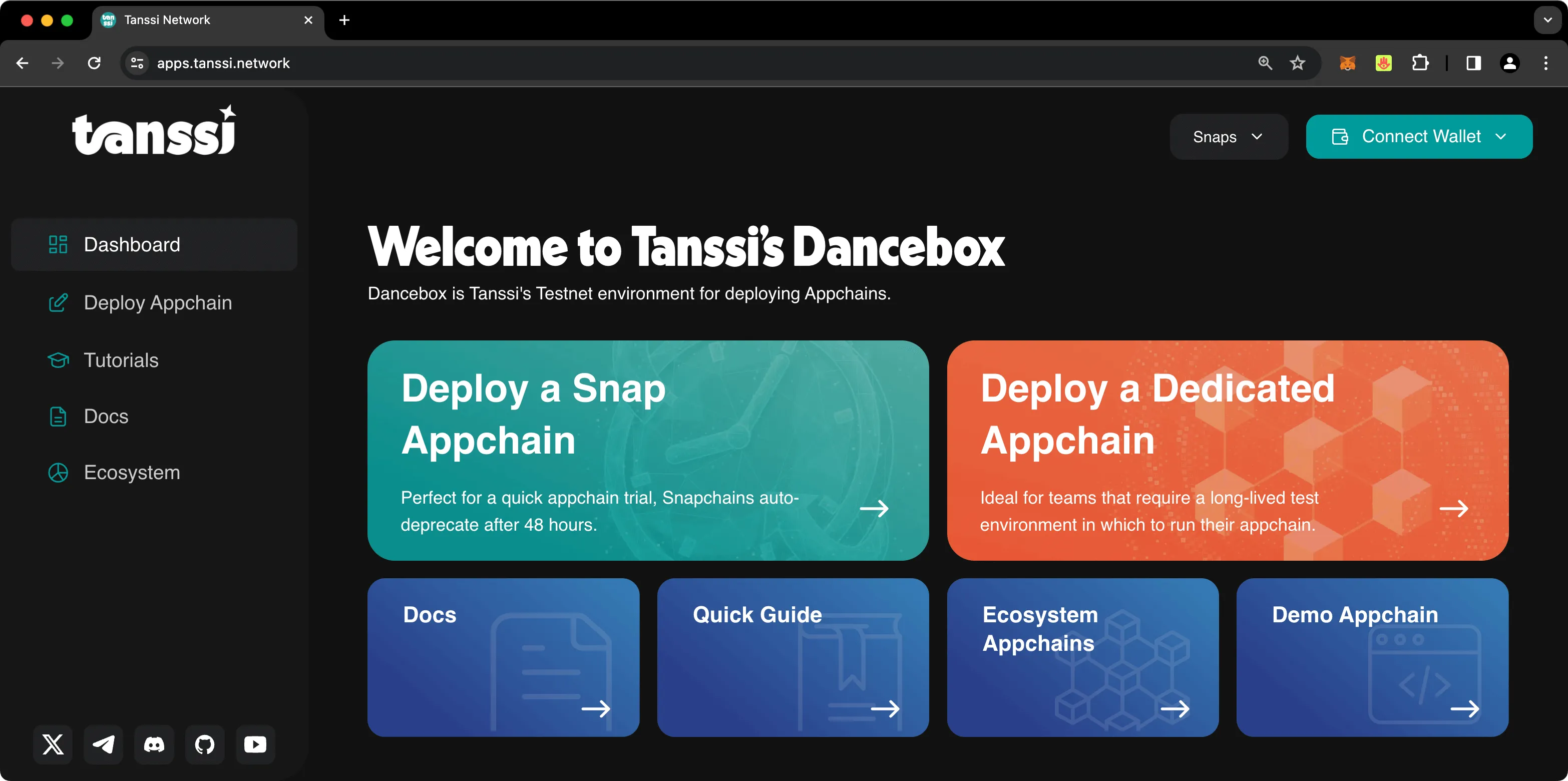 A screenshot showing the initial dashboard of apps.tanssi.network.