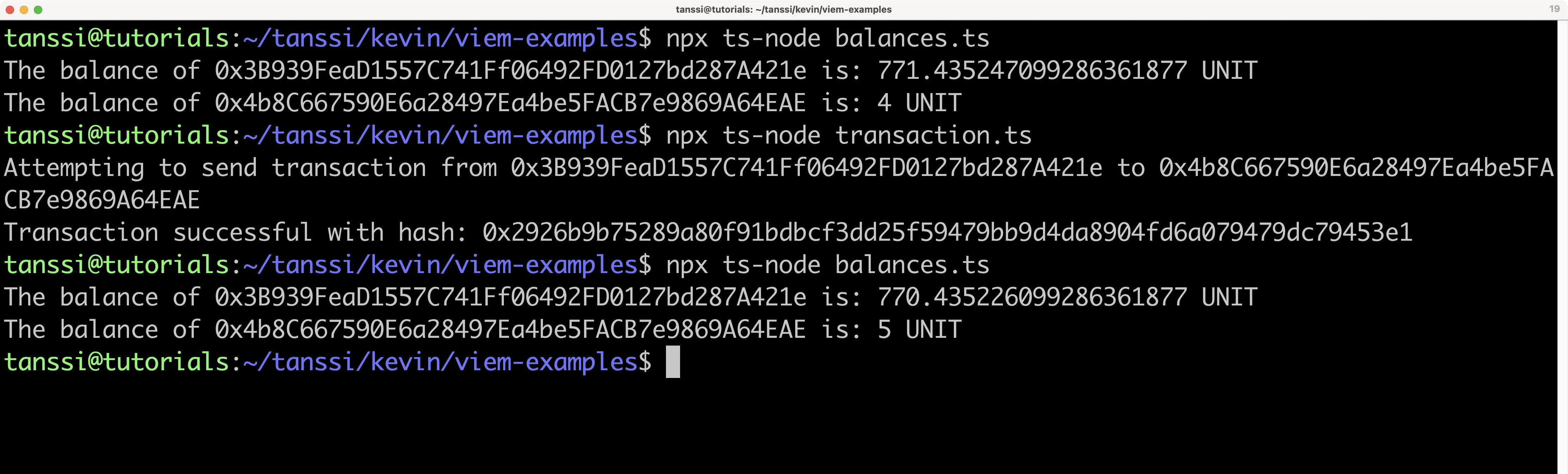 The result of running the transaction and balances scripts in the terminal