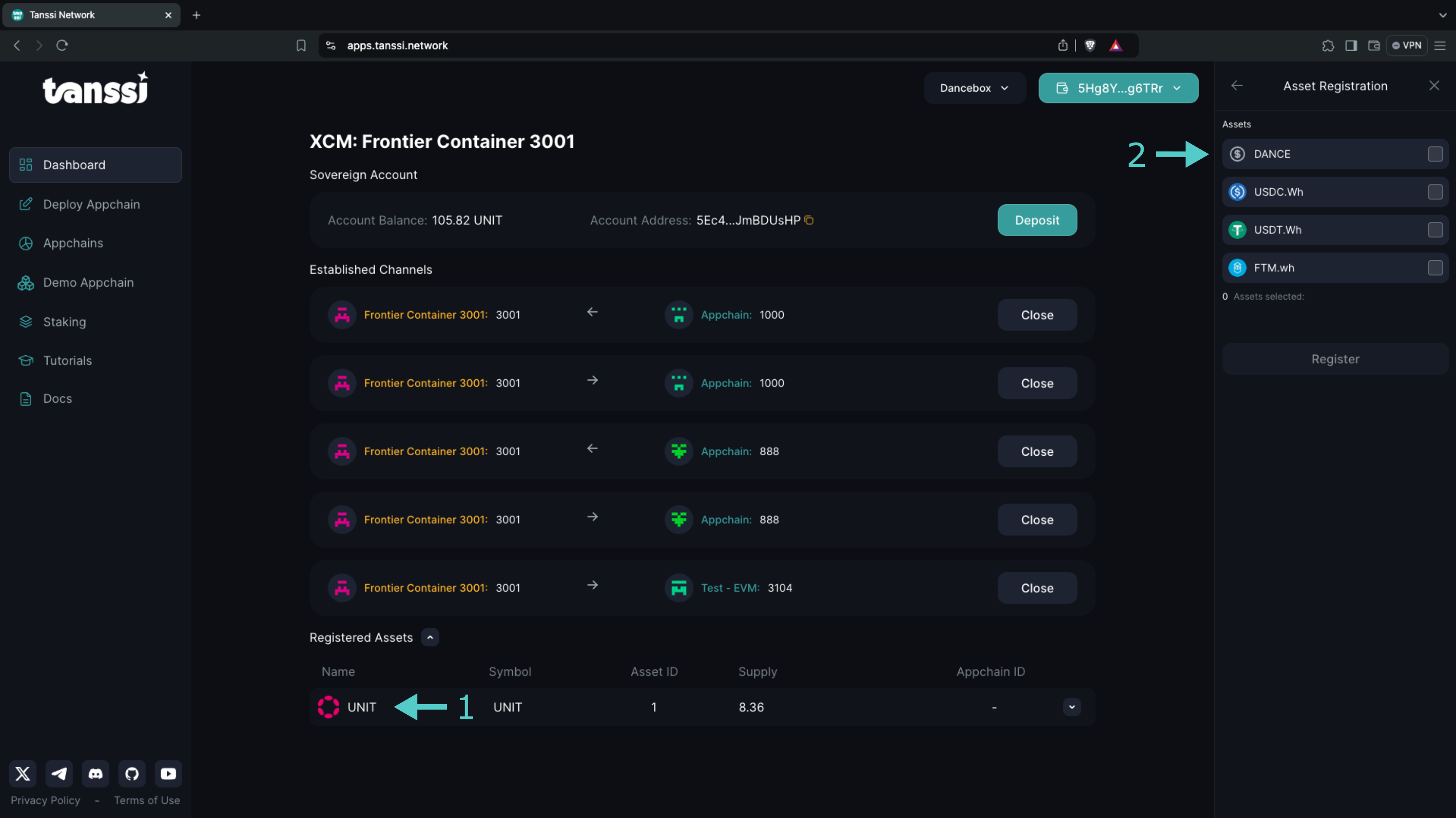 Tanssi EVM demo appchain registered external Assets