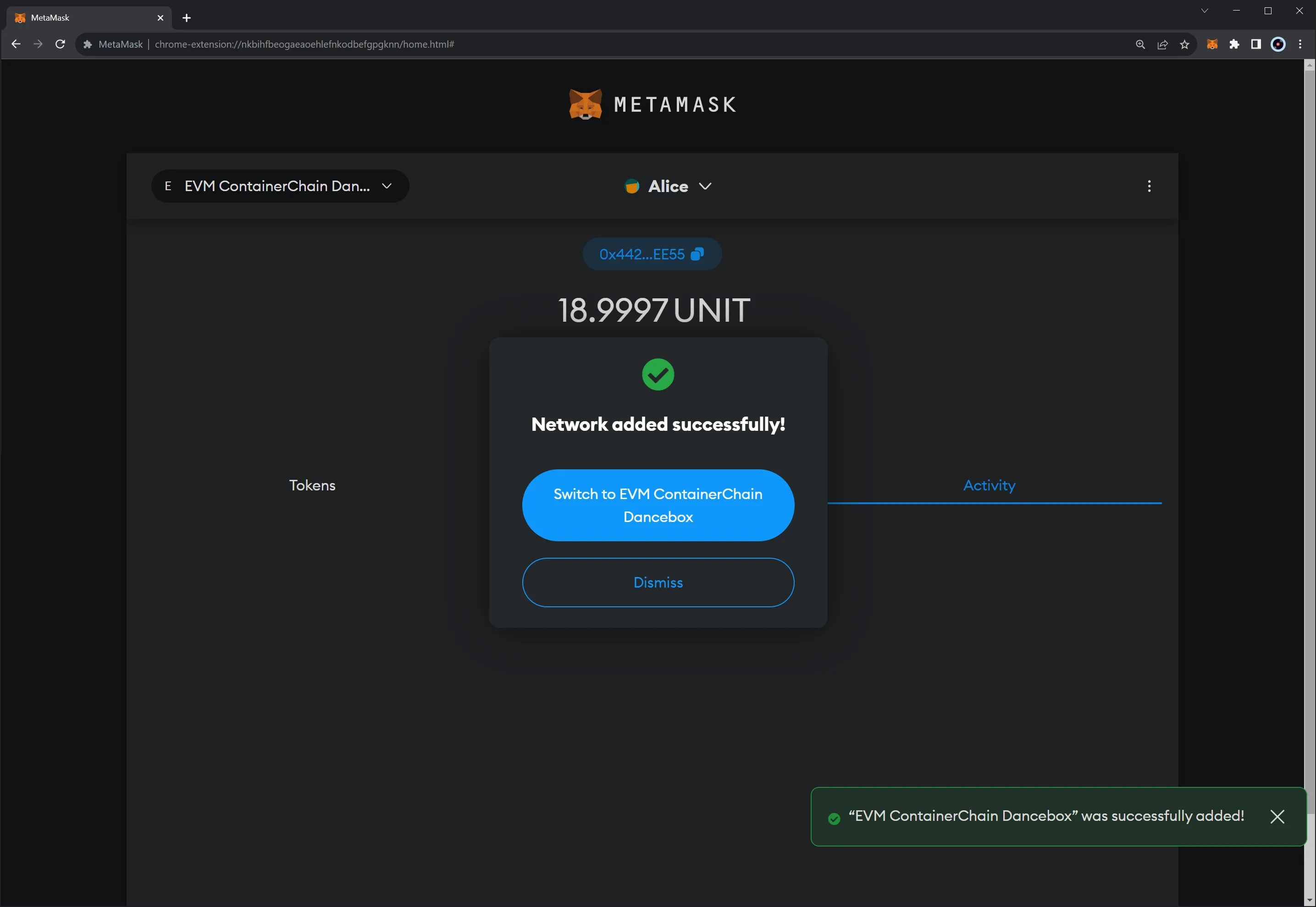 Successfully added a network in Metamask