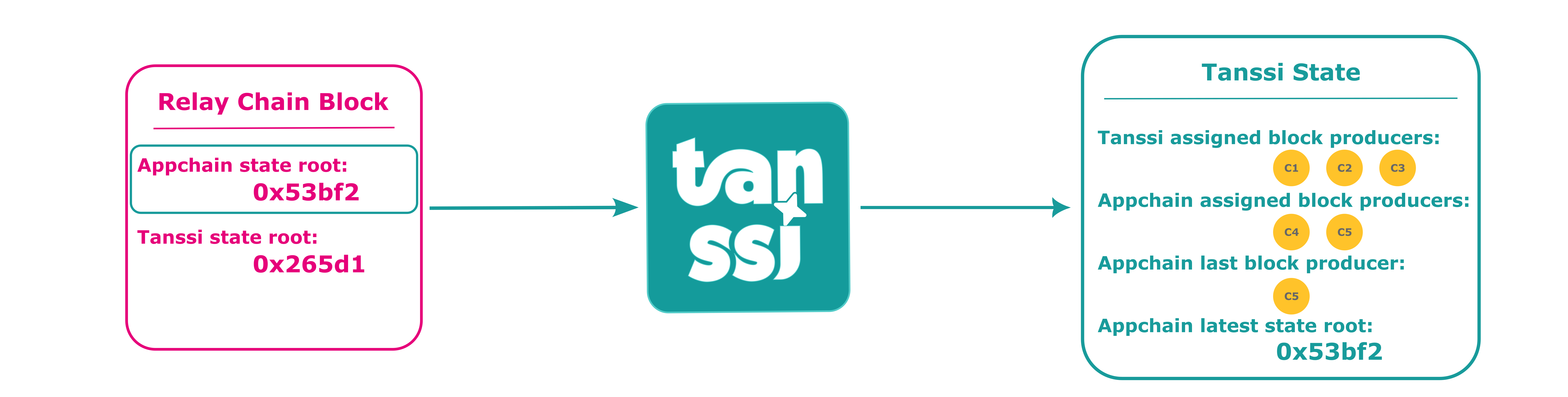 Tanssi Network